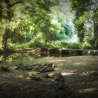 Buy canvas prints of Shaded brook by Scott & Scott