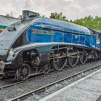 Buy canvas prints of Sir Nigel Gresley by Scott & Scott