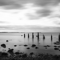 Buy canvas prints of  SEASALTER IN MONO by Michele Cohen