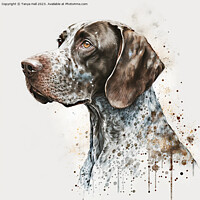 Buy canvas prints of Watercolor German Short Haired Pointer by Tanya Hall