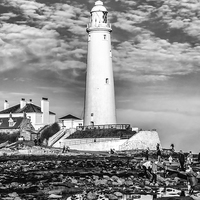 Buy canvas prints of St. Mary's Lighthouse by Tanya Hall