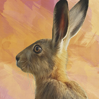 Buy canvas prints of Hare  by Tanya Hall