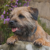 Buy canvas prints of  Oil Painted Border Terrier Dog With Heather Flowe by Tanya Hall