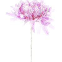 Buy canvas prints of Pink Watercolor Flower Single Stem Isolated on Whi by Tanya Hall