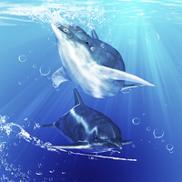 Buy canvas prints of "Aquatic Harmony" Dolphin Wall Art by Tanya Hall