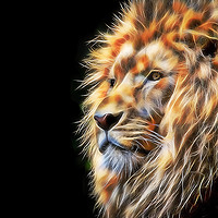 Buy canvas prints of The Lion by Tanya Hall