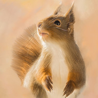 Buy canvas prints of Squirrel, oil and chalk painted squirrel Print by Tanya Hall