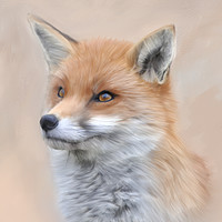 Buy canvas prints of Fox, Siona The Wild Fox by Tanya Hall