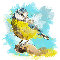 Buy canvas prints of Blue Tit Bird by Tanya Hall