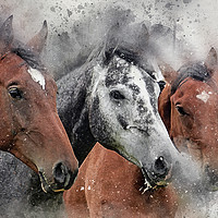 Buy canvas prints of Horse, equine, Digital Watercolor Paint and Grunge by Tanya Hall