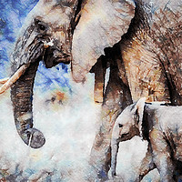 Buy canvas prints of Elephant and Calf, Print by Tanya Hall