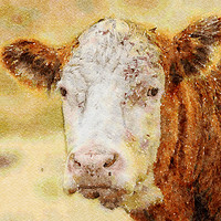 Buy canvas prints of Cow. Brown Cow Watercolour "Print"  by Tanya Hall