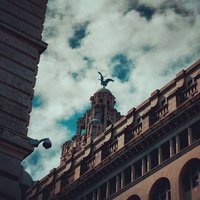 Buy canvas prints of liver bird by dave hanrahan
