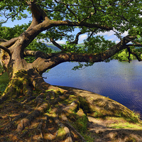 Buy canvas prints of  Rydal Water Cumbria by Graham Hawcroft