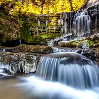 Buy canvas prints of Scaleber Force in The Yorkshire Dales by David Hirst