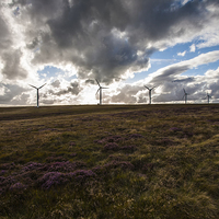 Buy canvas prints of  Wind Power by David Hirst