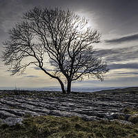 Buy canvas prints of Looking Towards Malham by David Hirst