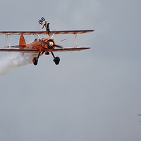Buy canvas prints of  The Wingwalkers by Tim Clifton