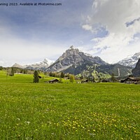 Buy canvas prints of Swiss Pasture by tom downing