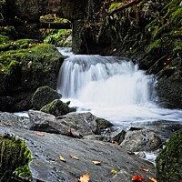 Buy canvas prints of Cascading Brook by tom downing