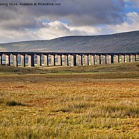 Buy canvas prints of Ribblehead Viaduct by tom downing
