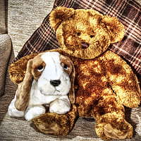 Buy canvas prints of Best Pals by tom downing