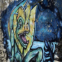 Buy canvas prints of Urban Dragon by tom downing
