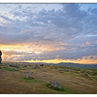 Buy canvas prints of Wild horse of Dartmoor by tom downing