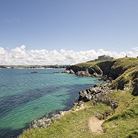 Buy canvas prints of Coastal path Newquay by tom downing