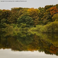 Buy canvas prints of Autumn reflection  by tom downing