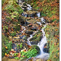 Buy canvas prints of Autumn waterfall by tom downing