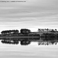 Buy canvas prints of Distant Reflection in black&white by tom downing