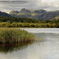 Buy canvas prints of Distant Fells by tom downing
