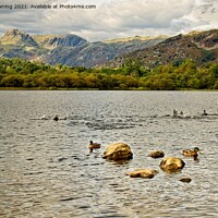 Buy canvas prints of A view from Elterwater by tom downing