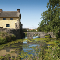 Buy canvas prints of  Stogursey Castle in Summer by Bob Small