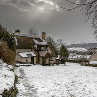 Buy canvas prints of  Selworthy in the Snow by Bob Small