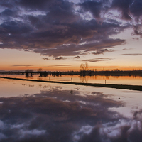 Buy canvas prints of  Flooded Levels in Somerset by Bob Small