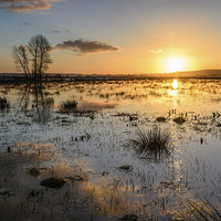 Buy canvas prints of Flooded Levels in Somerset by Bob Small