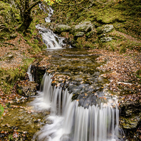 Buy canvas prints of  Autumn Stream by Bob Small