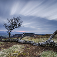 Buy canvas prints of Quantock Dusk by Bob Small