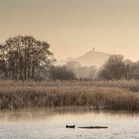 Buy canvas prints of  Somerset Levels on a Frosty Morning by Bob Small