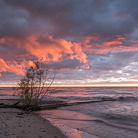 Buy canvas prints of Sunrise on Lake Michigan by Bob Small