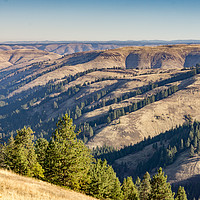 Buy canvas prints of Rolling Hills of Oregon by Bob Small