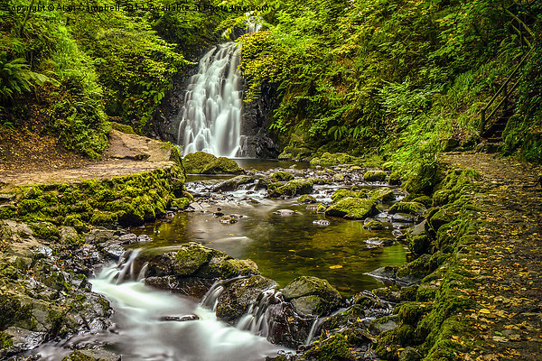Glenoe Waterfall in Northern ireland Picture Board by Alan Campbell