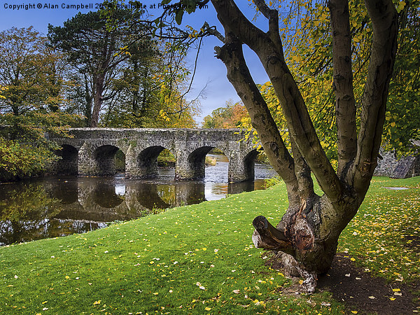  Autumn Colours at Antrim Castle Gardens Picture Board by Alan Campbell
