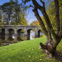 Buy canvas prints of  Autumn Colours at Antrim Castle Gardens by Alan Campbell