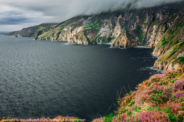 Glancing Down At Slieve League Cliffs Picture Board by Alan Campbell