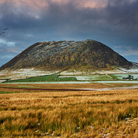 Buy canvas prints of Glow over Slemish Mountain by Alan Campbell