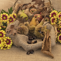 Buy canvas prints of  Autumn in a Basket by Tina Fry