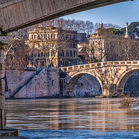 Buy canvas prints of  Under Rome's Bridges by David Bradbury